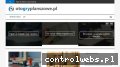 Screenshot strony otogryplanszowe.pl