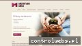Screenshot strony meritummed.pl