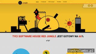 agencja reklamowa katowice - projektowanie stron www