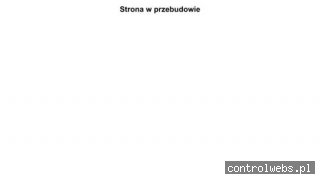 Separatory metali, Detektory metalu