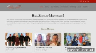 Agencja Profesjonalnych Zespołów Muzycznych - Mirex