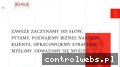 Screenshot strony bravebrain.pl