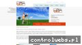 Screenshot strony www.proglob.pl