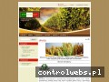 Screenshot strony www.adessoitalia.pl