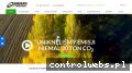 Screenshot strony www.quriers.pl