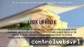 Screenshot strony www.lisek-urwisek.pl